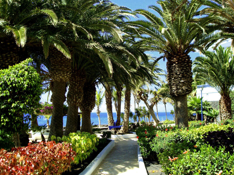 Vik Hotel San Antonio