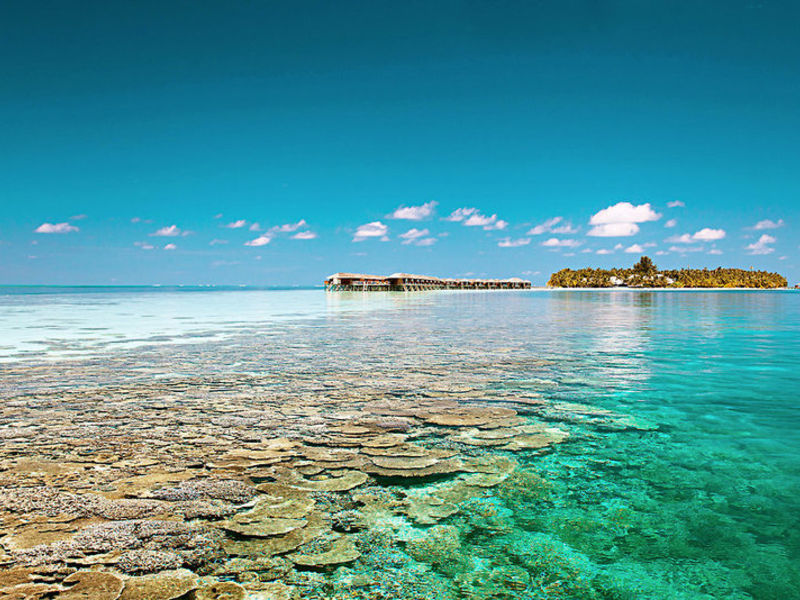 Vilamendhoo Island Resort