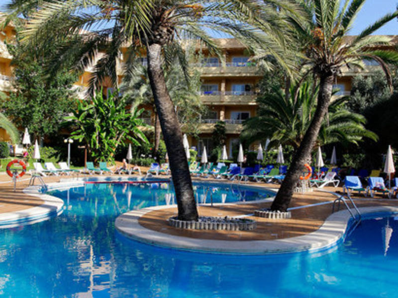 Viva Palma Nova Typ A1