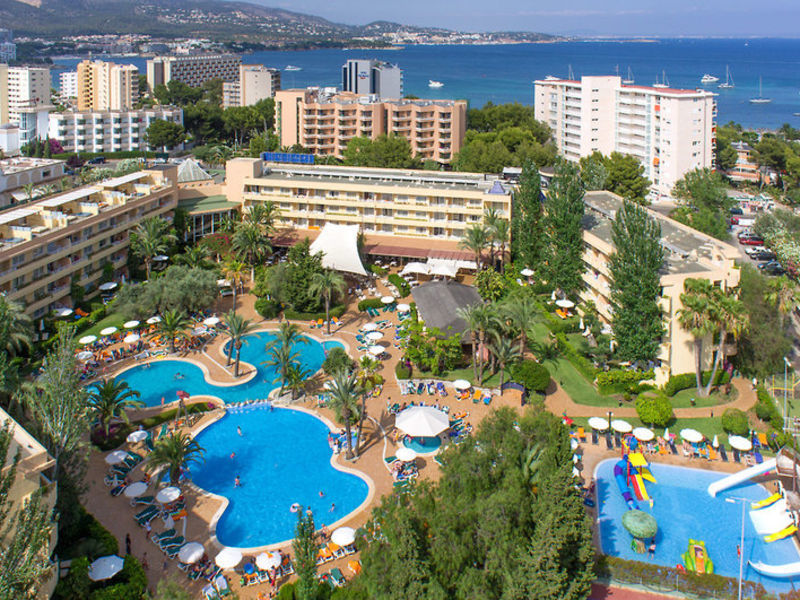Viva Palma Nova Typ A1