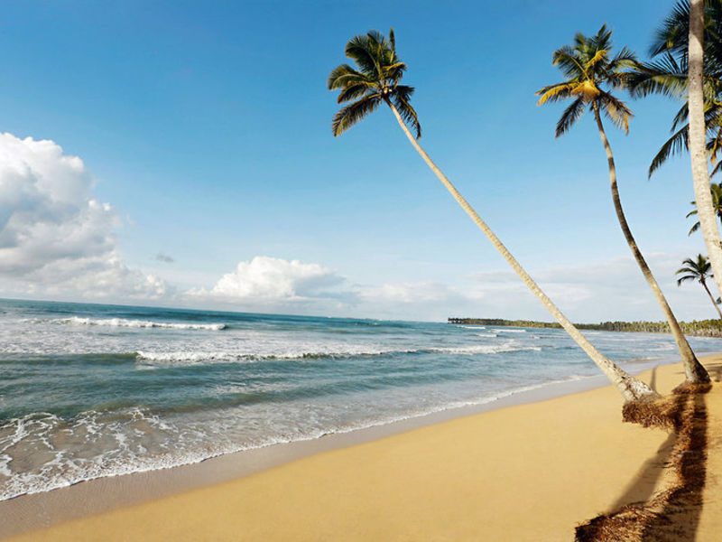 Viva Wyndham Samana