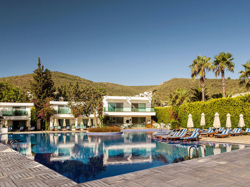 Voyage Torba