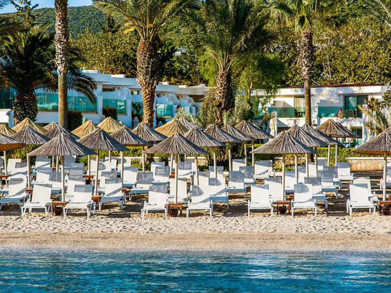 Voyage Torba
