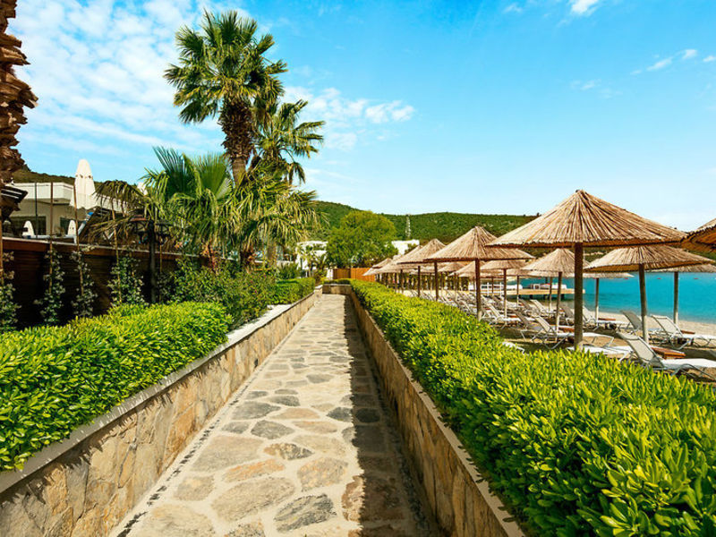 Voyage Torba