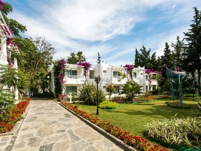 Voyage Torba
