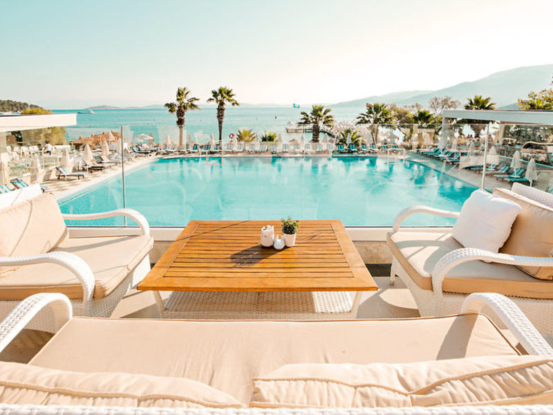 Voyage Torba