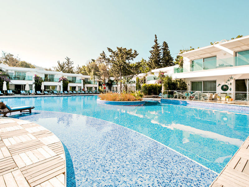 Voyage Torba