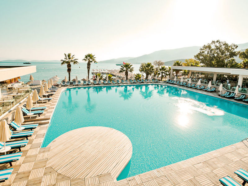 Voyage Torba