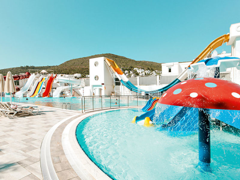 Voyage Torba