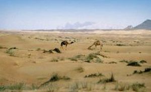 Dubaj, Arabský poloostrov - ilustrační fotografie