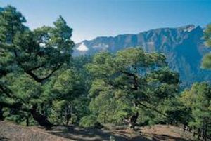 La Palma - ilustrační fotografie