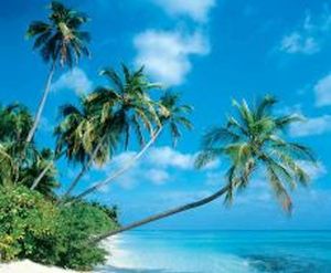 Maledivy - ilustrační fotografie